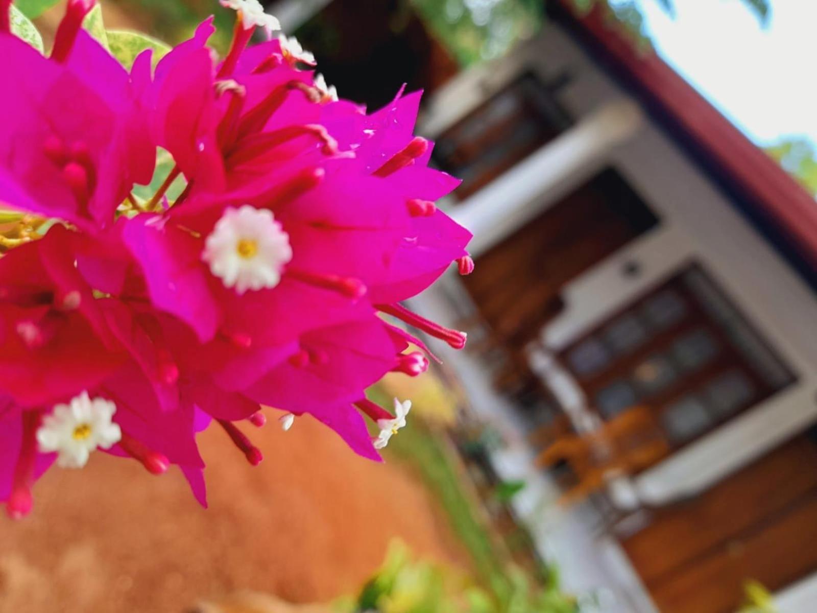 The Cozy Cottage Хабарана Экстерьер фото